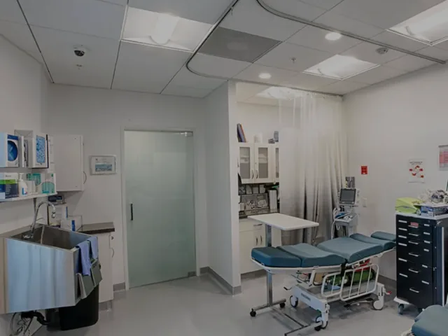 Examination Room Supplies carried by Impact Medical
